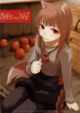 BUY NEW spice and wolf - 161936 Premium Anime Print Poster